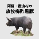 阿蘇・産山村の放牧梅酢黒豚